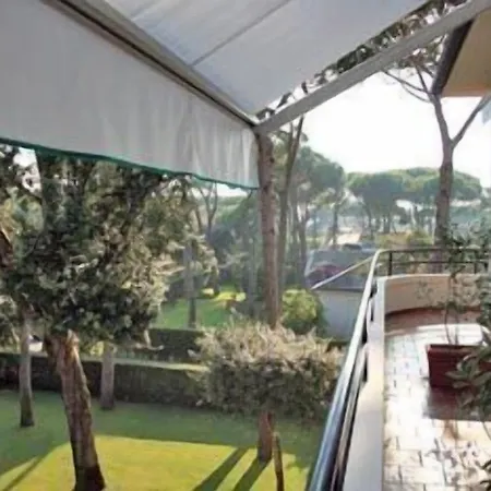 Edera Marina di Pietrasanta