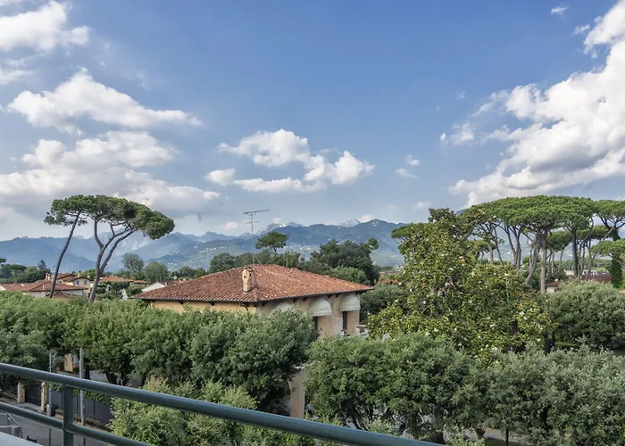 Edera Marina di Pietrasanta