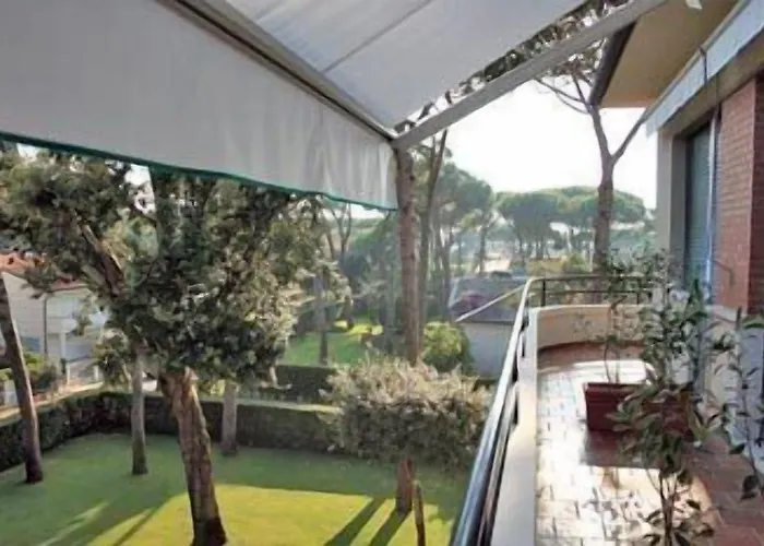 Edera Marina di Pietrasanta