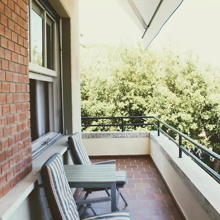 Edera Otel 4*