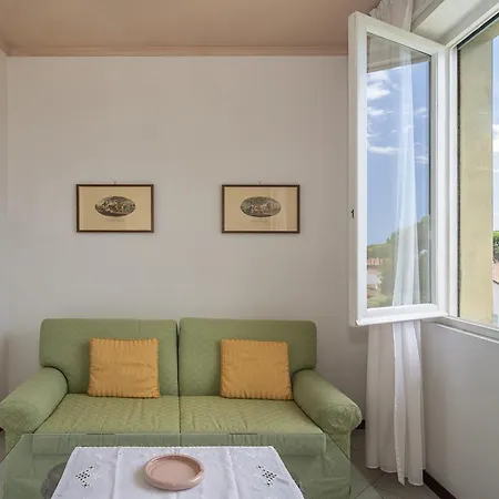 Edera Marina di Pietrasanta