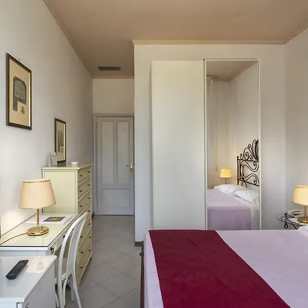 Edera 4*