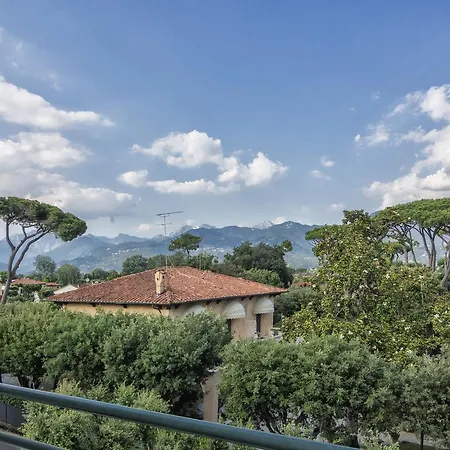 Edera Marina di Pietrasanta